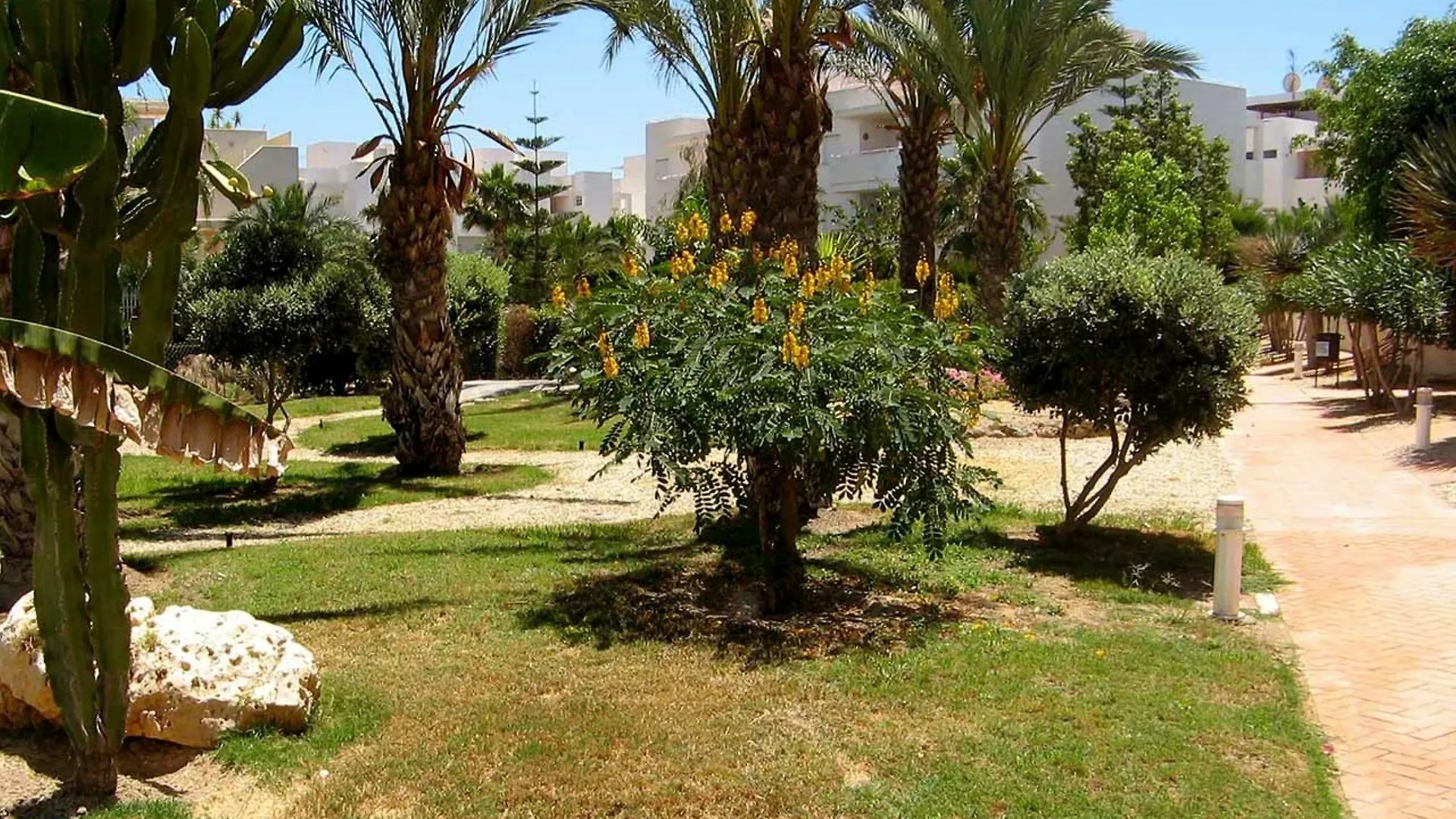 106449 - Apartment In Vera Roquetas de Mar