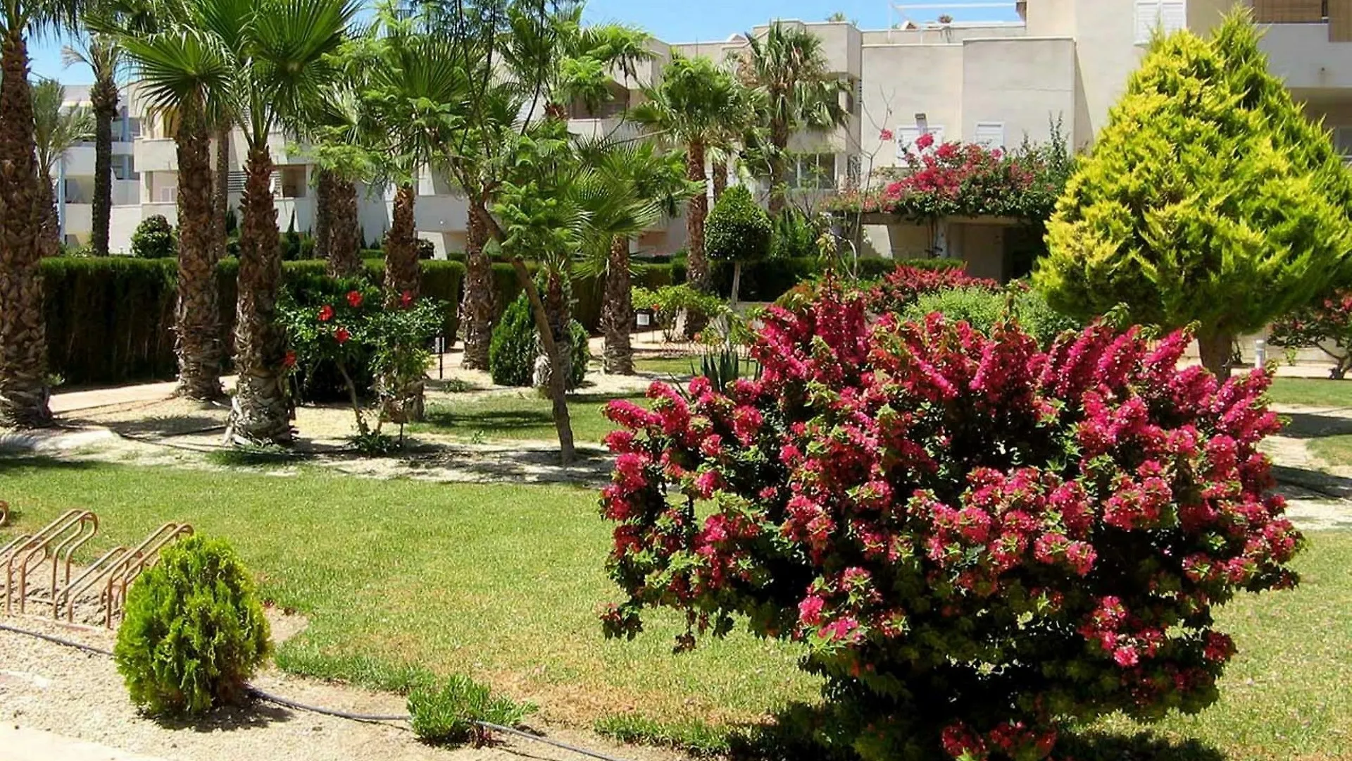 106449 - Apartment In Vera Roquetas de Mar