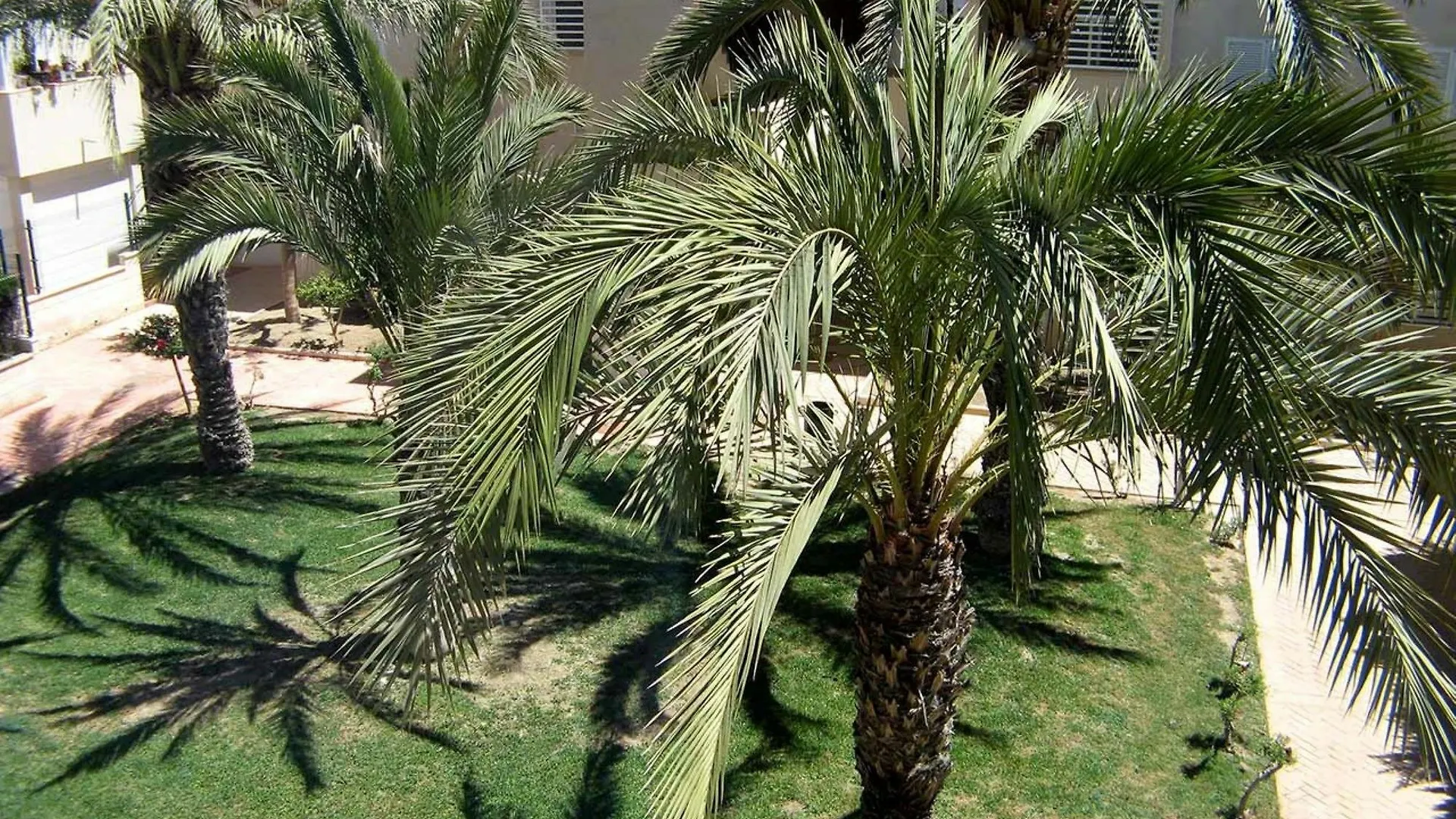 106449 - Apartment In Vera Roquetas de Mar Spain